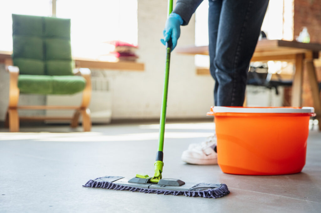 Pet-Friendly Cleaning Services in Cambridge: Keeping Homes Clean with Furry Friends