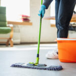 Pet-Friendly Cleaning Services in Cambridge: Keeping Homes Clean with Furry Friends